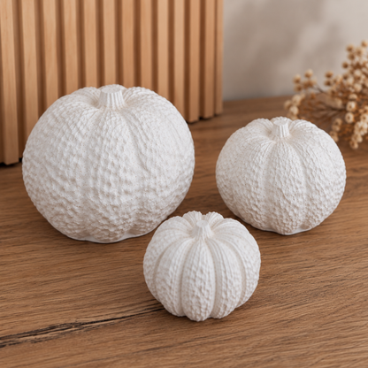 3er Set Deko-Kürbisse – natürliche Herbstdeko in Weiß