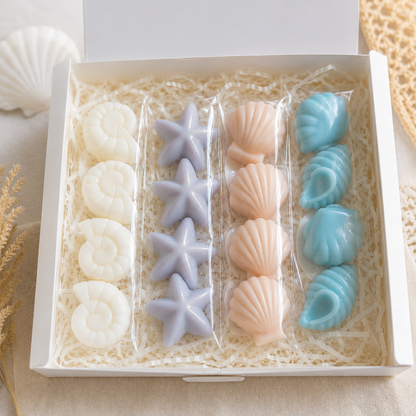 Beach Days Collection – Limitiertes Wachsmelt Sommer Set